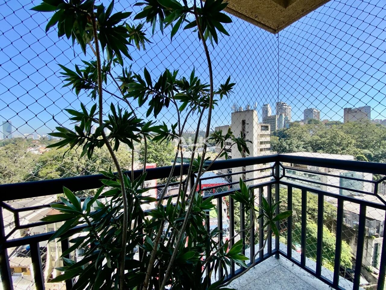 Foto 0
